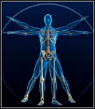 Non-Invasive Full Body Scan