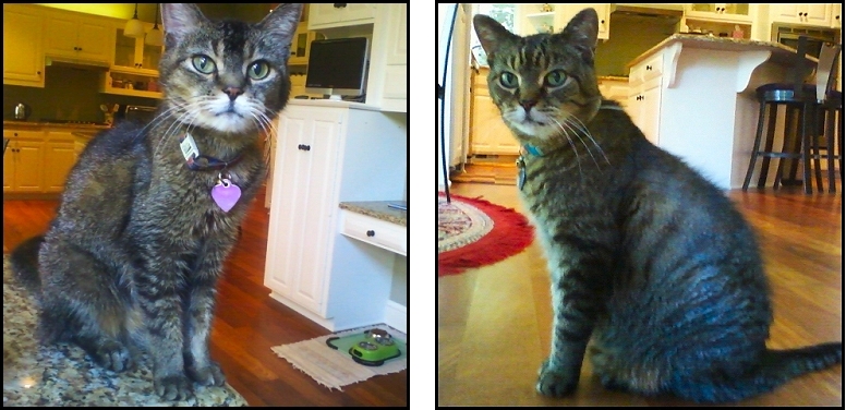 Izzie and Ozzie