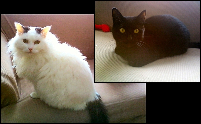 Mumford and Pepper