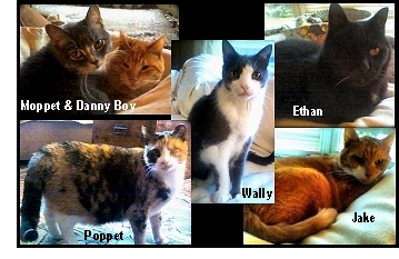 Moppet, Danny Boy, Wally, Ethan, Poppet, and Jake