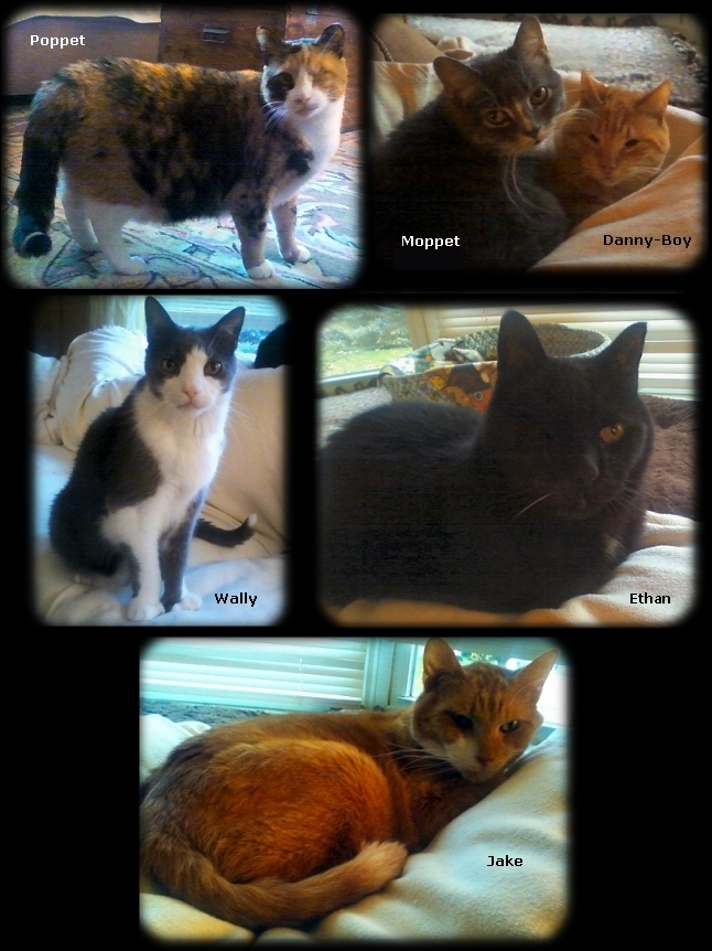 Poppet, Moppet, Danny-Boy, Wally, Nathan, and Jake