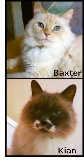 Baxter and Kian
