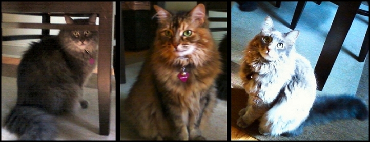 Kiki and Jules and Max