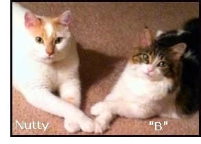 Nutty and "B"
